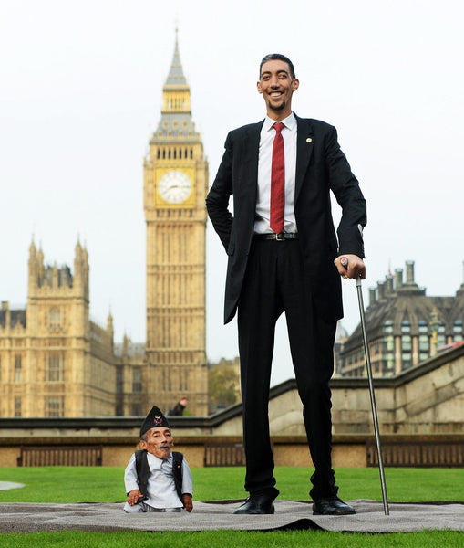 Ranked Countries of the Tallest People